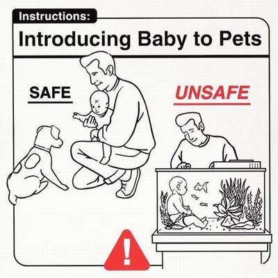 Introduciendo al bebé al mundo de los animales